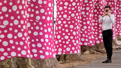 Some of the 60 plane trees wrapped in a pink-and-white polka-dot design for Kusama in Melbourne. AFP