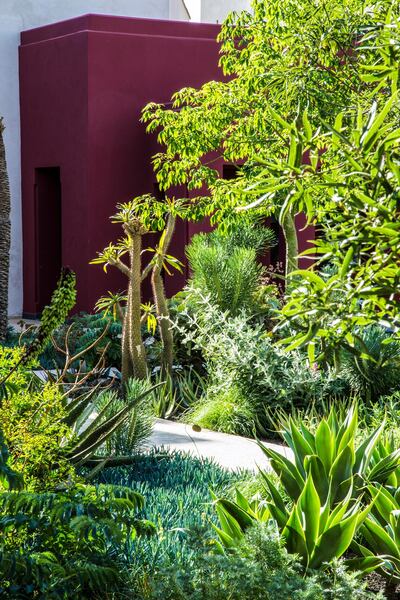 Le Jardin Secret in Medina Marrakech. Courtesy Giulio Pietromarchi