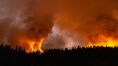 A forest is incinerated by a wildfire in California. AFP