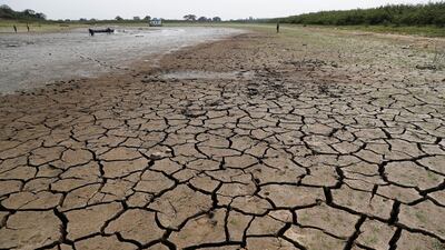 Cracked earth is exposed in the riverbed of the Paraguay River in Chaco-i near Asuncion city, Paraguay. The Paraguay River reached its lowest level in 50 years, following months of extreme drought that has exposed the nation’s economic dependence on the river and limited access to drinking water. AP Photo