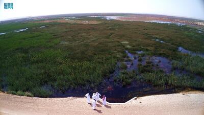 It is a great place to go bird watching or kayaking. SPA