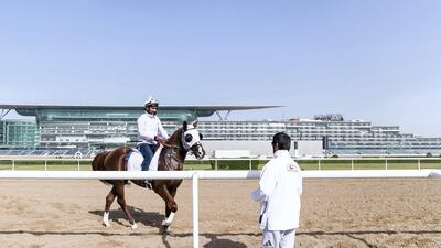 Emirati trainer Ali Rashid Al Raihe training at Al Meydan track
