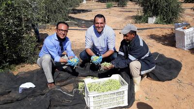 Marwan Odeh, director of food and beverage at Rotana Amman Hotel, and Nico Dingemans with a farmer at Al Zyoud Olive Farm, Zarqa. Photo: Nico Dingemans