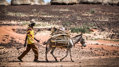 In the Sahel, located between the Sahara desert and the equator, prolonged drought and unpredictable weather patterns are forcing many people to migrate in search of a better life elsewhere. AFP
