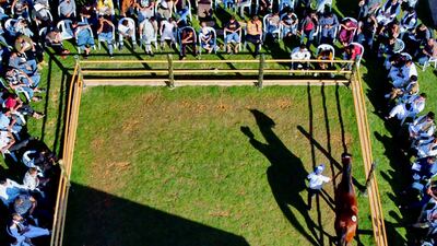 A man walks with a horse during the auction.