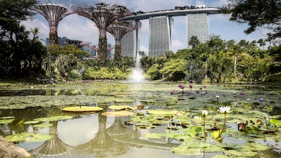 The Supertrees vertical gardens and the Marina Bay Sands Hotel reflected in a pond at the Gardens by the Bay in Singapore. The Singapore Tourism Board is targeting more tourists from the arabian Gulf. Wallace Woon / EPA