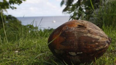 The stories, songs and language that developed into the Niuean culture over more than 1,000 years are at risk of vanishing. Nick Perry/AP Photo