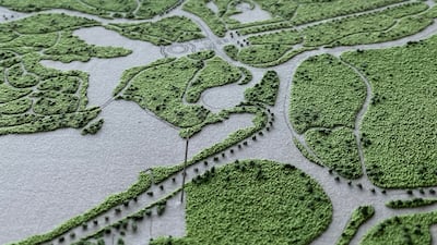 Central Park in New York City by Clara Bowe. Photo: Clara Bowe