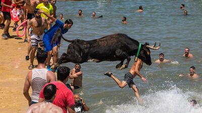 A bull throws himself into the sea as he pursues participants in the 'Bous a la Mar' festival in Denia, Spain. The bull-evading event is part of an annual festival in honour of the town’s patron saint. Getty