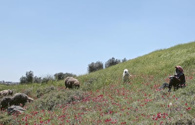 Asmahan Bkerat first intended the film to be a short about a sheep, but soon realised she had a much bigger story on her hands. Photo: Arkima Films