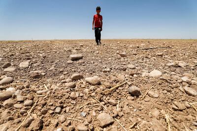 Dried up fields in eastern Iraq. The Middle East is facing huge pressure on water supplies. AFP