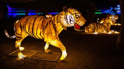 This year, there's a new Glowing Safari, with brightly lit animals 'wandering around'