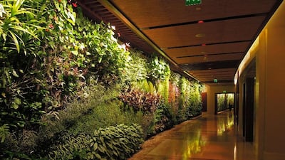 A vertical garden by field-leading French botanist Patrick Blanc in a corridor at the Sofitel Dubai The Palm Resort and Spa. Courtesy Patrick Blanc