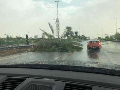 A palm tree is felled by the strong wind during a storm in Dubai on Friday. The National