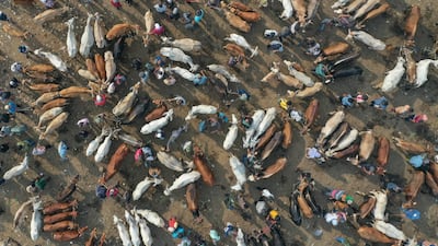An aerial view of people gathering to buy livestock ahead of Eid Al Adha, at a market in Bogor, West Java, Indonesia. EPA