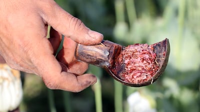 Raw opium from Afghanistan, where some farmers grow poppies instead of crops to make a living. Much of the illegal crop is smuggled through India. EPA