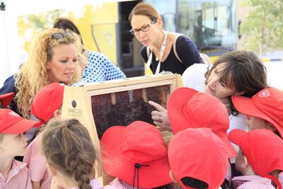 Beekeeper Jocelyn McBride interacts with children as part of conservation project Plan Bee