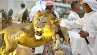 ABU DHABI, UNITED ARAB EMIRATES, September 08, 2012. Visitors to ADIHEX, Abu Dhabi International Hunting Exhibition, look at a stuffed exhibit of a hunting scene. (ANTONIE ROBERTSON / The National)