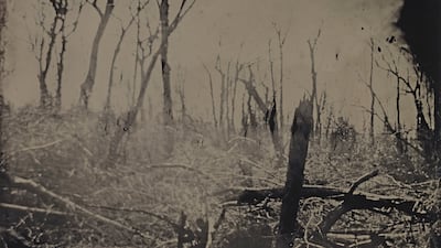 Sally Mann, 'Blackwater 13'. Photo: Sally Mann / Prix Pictet