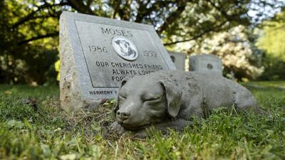 A ceramic dog sleeps next to the grave site of ‘Moses’.