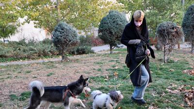 Vehicles used to transport the animal would also be confiscated for three months under the proposed law.