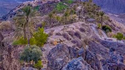 The village of Kan in the Wilayat of Nakhl in the Governorate of South Al-Batinah these days witnesses the apricot blossoms in a beautiful and picturesque season that attracts attention, as the apricot trees are covered in white, and the season continues until the beginning of March of each year. courtesy: Oman News Agency