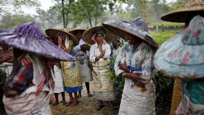 Workers wearing jappi hats made out of bamboo and palm leaves wait for the rain to stop to resume their work.