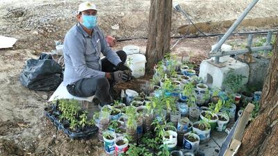Going green: RK Bishnoi grows plants in waste bottles and cans.