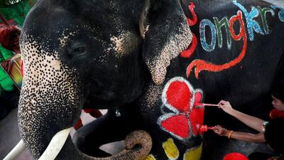 An elephant has paint applied ahead of celebrations for the water festival of Songkran in Ayutthaya, Thailand. Reuters