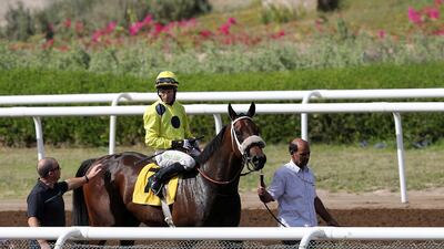 Native Appeal ridden by Patrick Dobbs wins the Derrinstown Stud race at Jebel Ali. Chris Whiteoak / The National