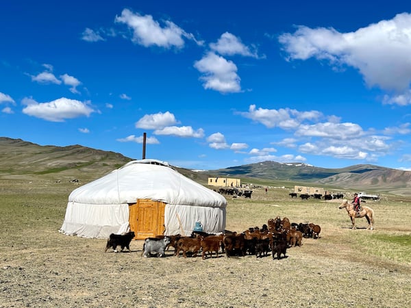 I learnt that families of Mongolian eagle hunters live nomadically in round tents also known as ger. Photo: Charukesi Ramadurai