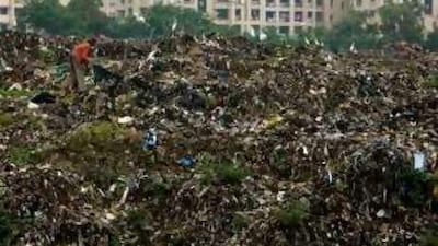 Mumbai authorities have purchased 42,000 litres of perfume to spray on the city's enormous waste dumps.
