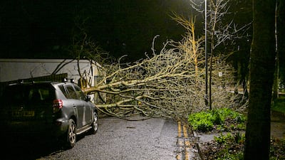 A fallen tree blocks a road in Falmouth, south-west England. Getty Images