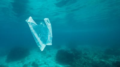 Occasions such as World Oceans Day, are about raising awareness of the plight of the sea and finding ways to get involved to help the situation. Courtesy National Geographic Abu Dhabi