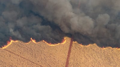 A fire in a sugar cane plantation near Dumon city in Brazil. Reuters