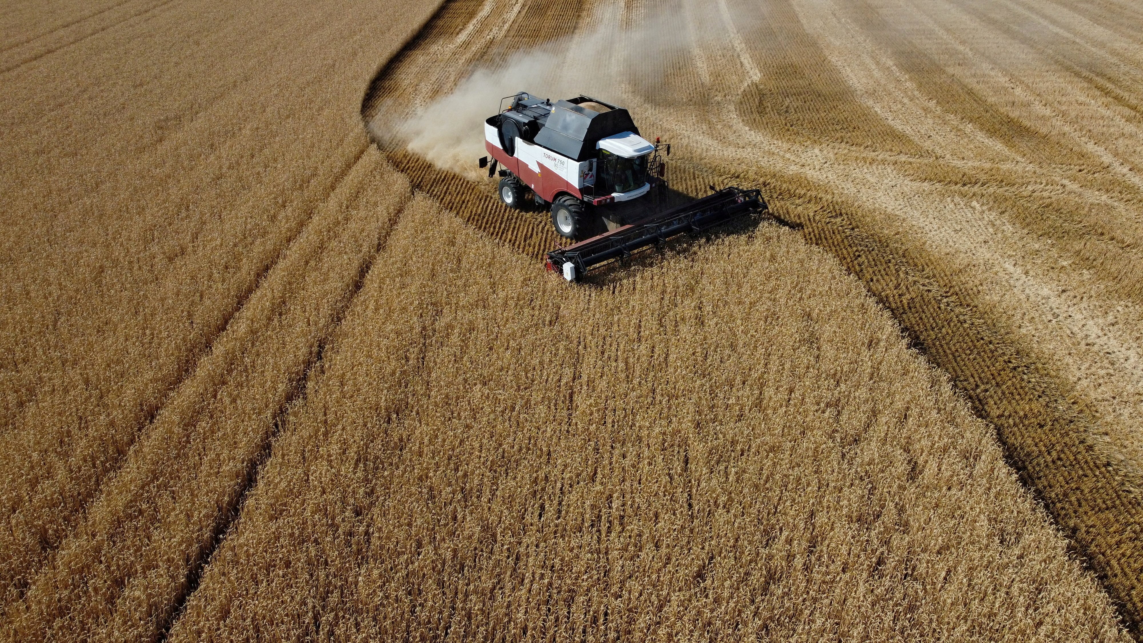 Image linked from the original feed: From Wales to Hormuz, the world's food system is running out of road