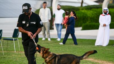 A Dubai Police dog in a demonstration