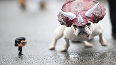 A dog dressed in a dinosaur costume attends the Tompkins Square Halloween Dog Parade in Manhattan in New York City. AFP