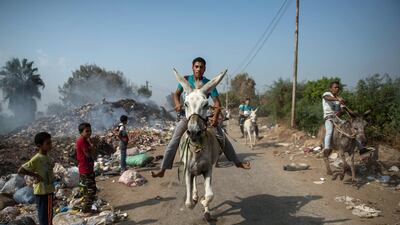 A donkey rider competes during a race at al-Baragel village, northern Giza, Egypt. EPA