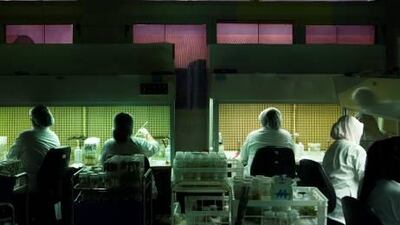 The Date Palm Research and Development Center, a branch of United Arab Emirates University, clones and makes tissues of date plants in their laboratory.