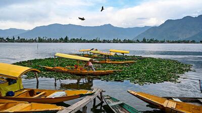 A Kashmiri boatman waits for customers in the Dal lake in Srinagar. AFP