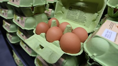 Current price controls are on essential items including cooking oil, eggs, dairy, rice, sugar, poultry, legumes, bread and wheat. EPA