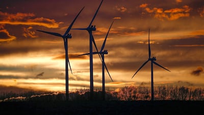 Dr Nawal Al Hosany spoke of financial incentives for governments to transition to solar, wind and hydroelectric energy. Reuters