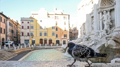 A pigeon ambles next to the iconic Fontana di Trevi in Rome. EPA