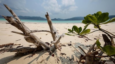 Southern Myanmar is home to many unspoilt beaches. Giampiero Gandolfo / Alamy Stock Photo; Getty Images