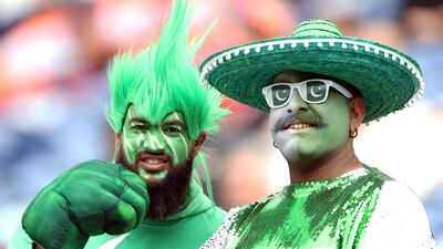 Pakistan fans during the first one day international match at the Sophia Gardens, Cardiff.