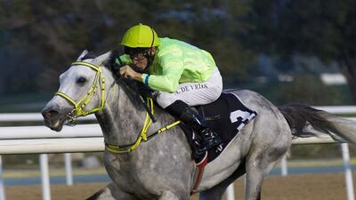 Adrie de Vries on Hameem wins the Group 2 Liwa Oasis in Abu Dhabi on Sunday, March 6, 2022. - DHRIC