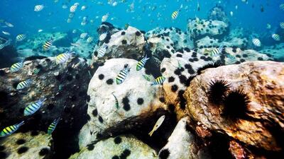 Research into the ability of Arabian Gulf corals to live in exceptionally hot waters has yielded new insight into how climate change and an expected rise in temperatures will affect the region’s reefs. Courtesy Nakheel