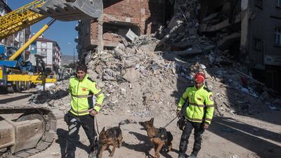 Rescue dogs search the scene of a collapsed building in Elazig, Turkey. Getty Images