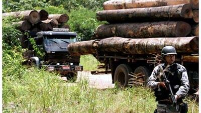 Being on guard: Brazil first enacted laws against illegal logging in 1965 and since then the amount of illegal timber harvesting in the Amazon area has fallen from over 80 per cent to less than half.